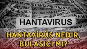 HANTAVİRÜS BELİRTİLERİ NELER Hantavirüs nasıl bulaşır, insandan insana geçer mi, korunma yolları nelerdir