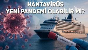 HANTAVİRÜS YENİ PANDEMİ OLABİLİR Mİ Hantavirüs nedir, nasıl bulaşır, insandan insana geçer mi Hantavirüs belirtileri nelerdir