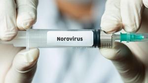 NOROVİRÜS NEDİR, BULAŞICI MI Norovirüs belirtileri nelerdir Norovirüs korunma yolları nelerdir