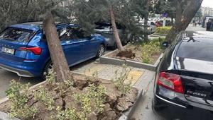 Ankarayı fırtına vurdu: Ağaçlar devrildi, araçlar zarar gördü
