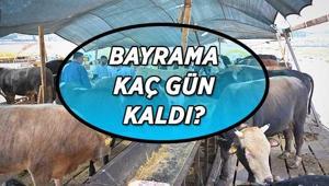 BAYRAM İÇİN GERİ SAYIM Kurban Bayramı kaç gün kaldı 2026 Kurban Bayramı bu yıl hangi tarihlere denk geliyor, bayram tatili ne zaman başlayacak