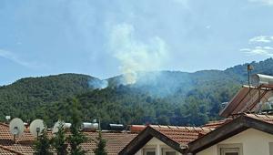 Muğlada orman yangını