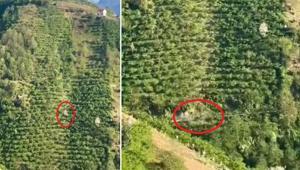 Giresunda korkunç görüntü 400 metre boyunca taklalar atarak yamaçtan yuvarlandı