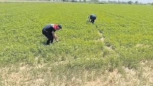 Aydın’da kuraklıkla mücadele çalışmaları