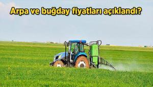 2026 Buğday fiyatları: Arpa ve buğday fiyatları açıklandı mı, ne zaman açıklanacak Hububat, arpa ve buğday alım fiyatı