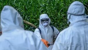 Ölü sayısı 139a ulaştı, virüs giderek yayılıyor Ebola krizi büyüyor