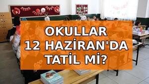 12 HAZİRAN CUMA OKULLAR TATİL Mİ, NEDEN TATİL 12 Haziran okullar yok mu MEB duyurdu