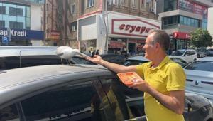 Gebzede esnafın beslediği martı Pamuk mahallenin maskotu oldu Her gün aynı saatte geliyor