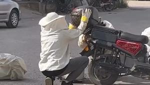 Motosikleti görenler gözlerine inanamadı Yolun ortasında arıların istilasına uğradı