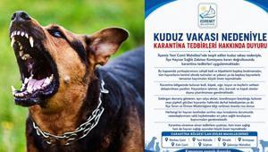 İlk vaka tespit edildi Bir ilimizde kuduz karantinası; vatandaşlara kritik uyarılar