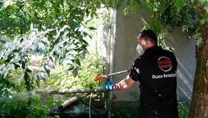 Düzcede Asya Kaplan sivrisineği uyarısı