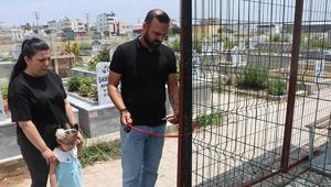 Mezarın etrafını çitle çevirip kapı taktılar Nedeni akıl alır gibi değil