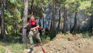 Çanakkalede yangın Tarım arazisinde başladı, kısa sürede büyüdü