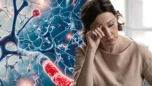 Bedenimizin kimyasal habercileri Uzun yaşamın sırrı 7 hormonda saklı