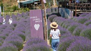 Türkiye Kültür Yolu Festivalinin yeni durağı Sakarya