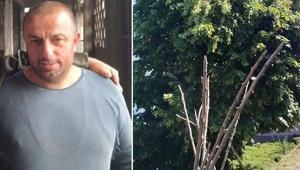 Rizede budamaya çıktığı ağaçta akıma kapılıp kişi öldü