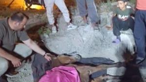 Minibüsün çarptığı başıboş at Haybulans ile tedaviye alındı