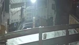 Adanada 600 kilo karpuz ve kavun hırsızlığı Şüphelinin ifadesi dikkat çekti