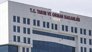 Tarım ve Orman Bakanlığı farklı kadrolarda olmak üzere 1874 personel alacak