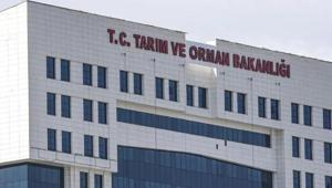 TARIM VE ORMAN BAKANLIĞI PERSONEL ALIMI 2026 BAŞVURU TARİHLERİ açıklandı mı Tarım ve Orman Bakanlığı 1874 personel alımı şartları neler, kadro branş dağılımı nasıl