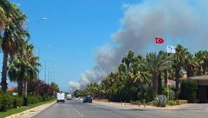 Antalyada orman yangını Havadan karadan müdahale