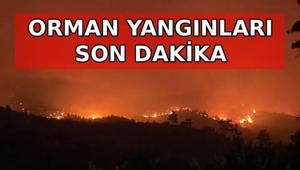 ORMAN YANGINLARI SON DAKİKA GELİŞMELERİ📍 Orman yangını hangi illerde devam ediyor Hangi illerde söndürüldü Alanya, Altınoluk, Ayvacık, Fethiye yangın son dakika gelişmeleri