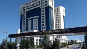 TARIM VE ORMAN BAKANLIĞI PERSONEL ALIMI BAŞVURU EKRANI: Tarım ve Orman Bakanlığı personel alımı ne zaman, şartlar neler Başvuru sonuçları ne zaman belli olacak
