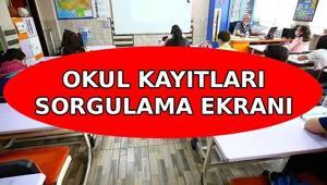OKUL KAYITLARI SORGULAMA EKRANI E-DEVLET: Çocuğum hangi okula gidecek Anaokulu, ilkokul 1. sınıf, ortaokul 5. sınıf adrese dayalı okul kayıtları belli oldu mu