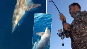 Hatayda oltaya takılan köpek balığıyla amansız mücadele: İkimizden biri kazanacak