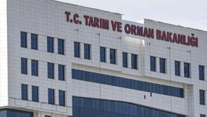 TARIM VE ORMAN BAKANLIĞI PERSONEL ALIMI BAŞVURU EKRANI 2026: Tarım Bakanlığı 1874 personel alımı başvuruları ne zaman bitiyor, son başvuru günü ne zaman