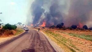 Edirne’de alevler ormana sıçradı Havadan ve karadan müdahale sürüyor
