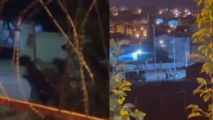 Arnavutköyde skandal görüntü Ata şiddet uygulayan cani yakalandı