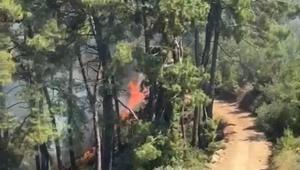 Muğla Fethiyede orman yangını çıktı