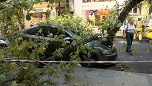 Nişantaşı’nda çınar ağacı taksinin üzerine devrildi Teşvikiye Caddesi trafiğe kapandı