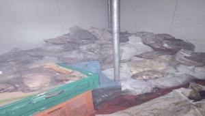 Bodrum’da kötü koku ekipleri harekete geçirdi 400 kilo bozuk ete el konuldu