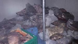 Bodrum’da kötü koku ihbarı ekipleri harekete geçirdi Depodan 400 kilo bozuk et çıktı