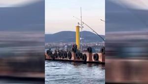 Kocaelide denizde erkek cesedi bulundu