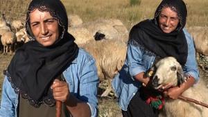 2 çocuk annesi yaylada çobanlık yapıyor Şimdi tek bir hayalin peşinde