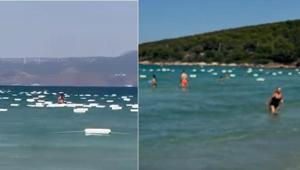 Çeşme’de denizden gelen gizem Yüzlerce kutu deniz yüzeyini kapladı