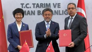 Türkiye ile Çin arasında defne ihracatı protokolü