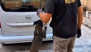 Balıkesir’de 109 bin adet sentetik ecza hapı ele geçirildi