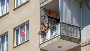 Gebzede en güzel balkon seçilecek Yaklaşık 800 sardunya yerleştirildi: Kazanan ödülü alacak