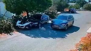 Bodrumda bir sürücü iki köpeği ezdi, yoluna devam etti