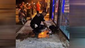Hatayda sokak köpeğini av tüfeğiyle yaralayan şüpheli gözaltına alındı