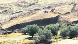 Nuh’un Gemisi dünyayı çekiyor Nuh’un Gemisi dünyayı çekiyor