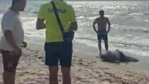Yattan düşerek hayatını kaybeden iş insanının cesedi sahilde vurdu