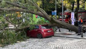 Şişli Harbiye’de korkutan anlar Şiddetli rüzgar ağacı otomobilin üzerine devirdi