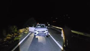 Tunceli-Erzincan kara yolunda aniden yola fırladı Cipin çarptığı ayı öldü