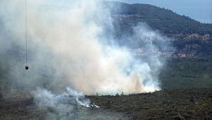Bodrumda orman yangını Havadan karadan müdahale