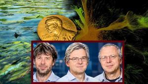 Göldeki algden beynin ışık düğmesine Nobeli getiren devrim: Hücresel seviyede kontrol mümkün